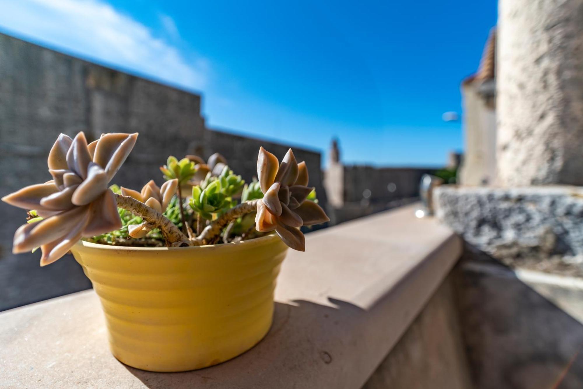 Villa Ragusa Vecchia Zewnętrze zdjęcie