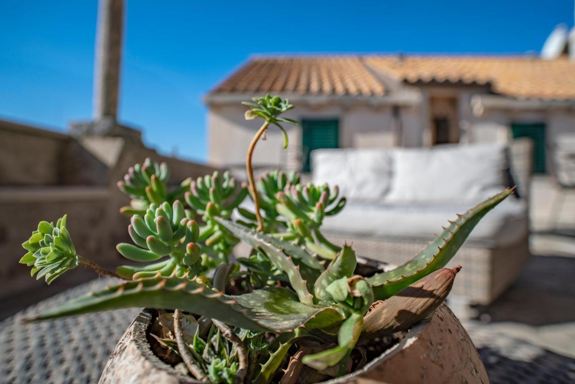 Villa Ragusa Vecchia Zewnętrze zdjęcie